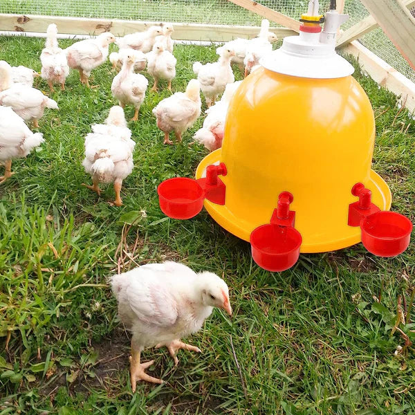 Bebedouro Automatizado para Galinheiros com Detecção de Nível