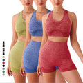Conjunto Esportivo Feminino Top e Short sem Costura Ferrazi