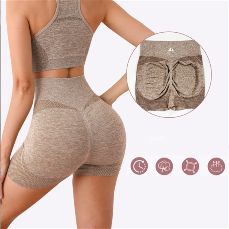 Conjunto Esportivo Feminino Top e Short sem Costura Ferrazi