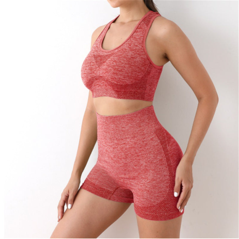 Conjunto Esportivo Feminino Top e Short sem Costura Ferrazi