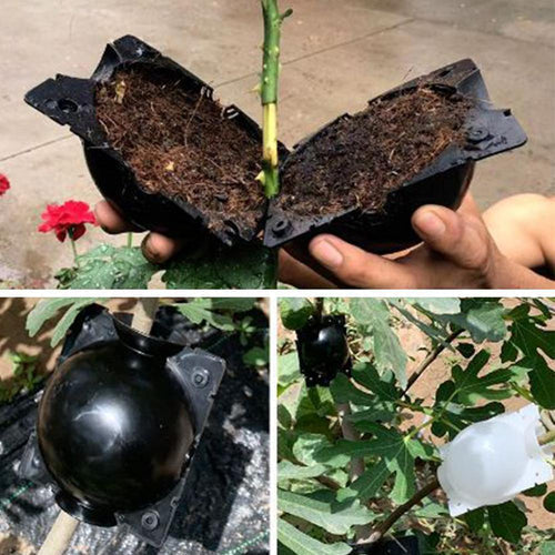 Kit Caixas de Enraizamento para Clonagem de Plantas | Alporquia