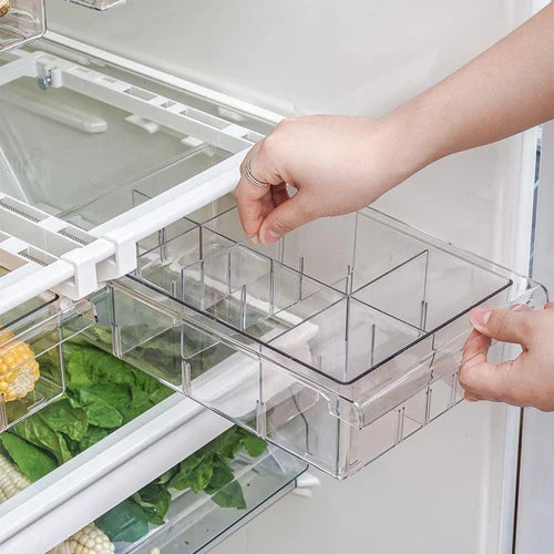 Organizador Armazenamento para Geladeira | FrostyBin