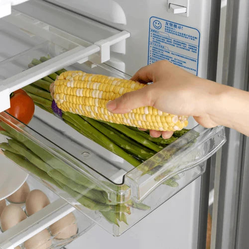 Organizador Armazenamento para Geladeira | FrostyBin