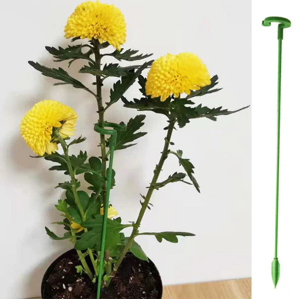 Suporte Inteligente Adaptável para Plantas | PlantFlex